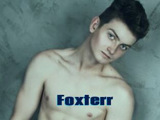 Foxterr