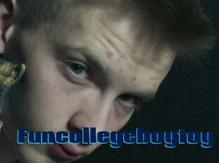 Funcollegeboytoy