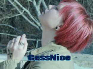 GessNice