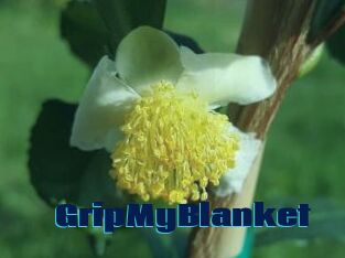 GripMyBlanket