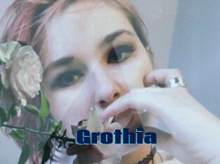Grothia