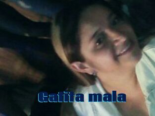 Gatita_mala