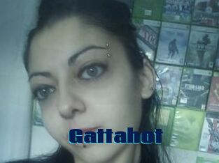 Gattahot