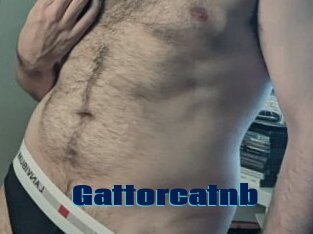 Gattorcatnb