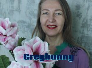 Greybunny