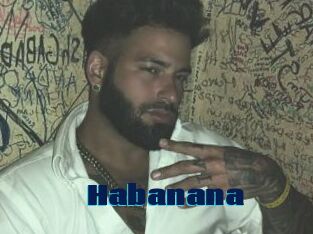 Habanana