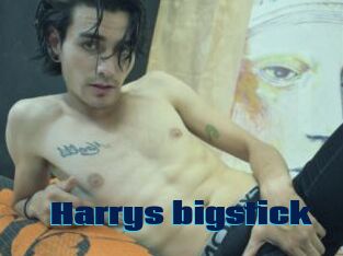 Harrys_bigstick
