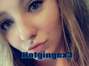 Hotgingex3