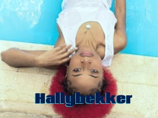Hallybekker