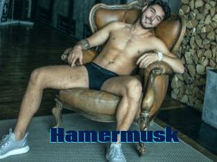 Hamermusk