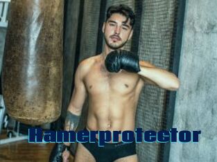 Hamerprotector