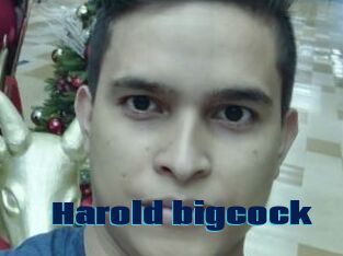 Harold_bigcock
