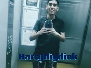 Harrybigdick
