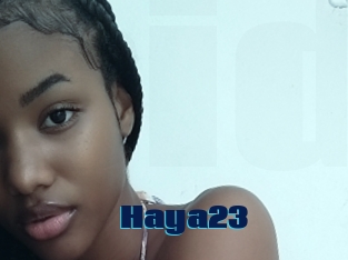 Haya23