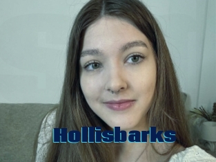 Hollisbarks