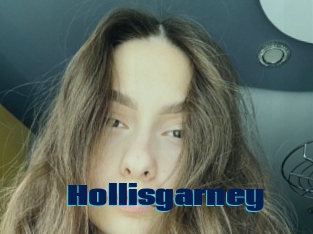 Hollisgarney