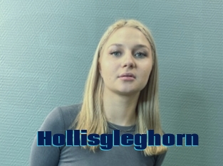 Hollisgleghorn