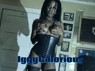 IggyGalorious