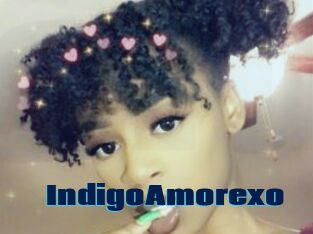 IndigoAmorexo