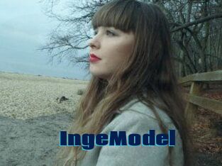 IngeModel