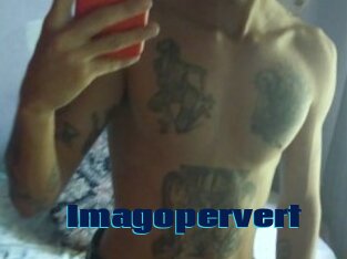 Imagopervert