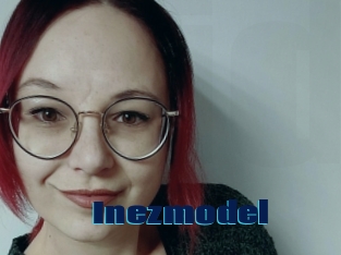 Inezmodel
