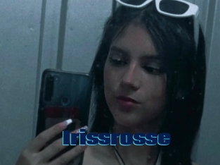 Irissrosse
