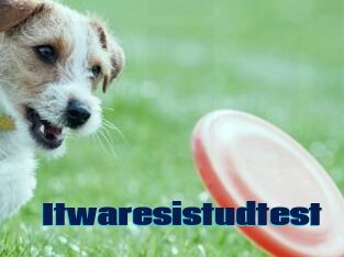 Itwaresistudtest