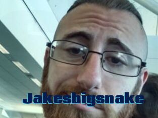 Jakesbigsnake