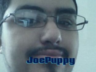 JoePuppy