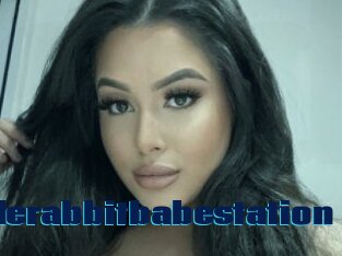 Jaderabbitbabestation