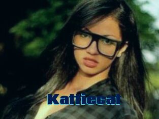 Kattiecat