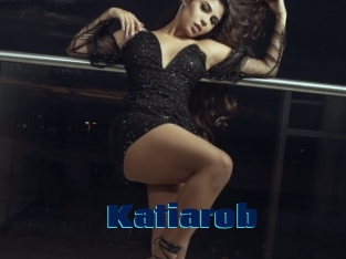 Katiarob