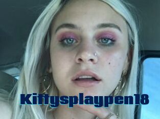 Kittysplaypen18