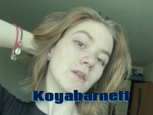 Koyabarnett