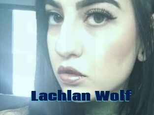 Lachlan_Wolf