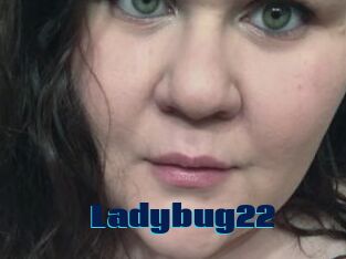 Ladybug22