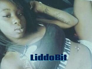 LiddoBit