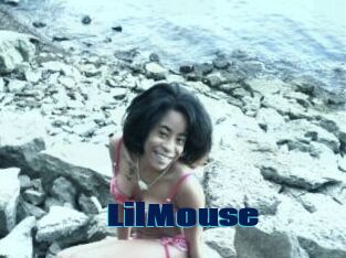 LilMouse