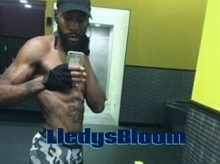 Lledys_Bloom