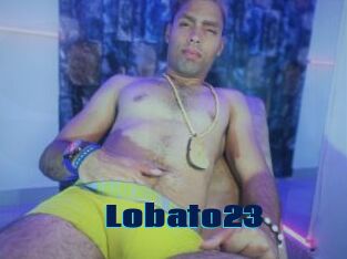 Lobato23