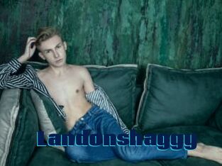 Landonshaggy