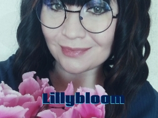 Lillybloom