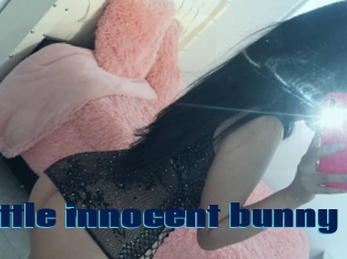 Little_innocent_bunny