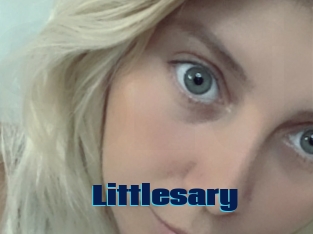 Littlesary