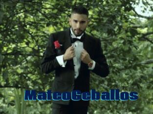 MateoCeballos