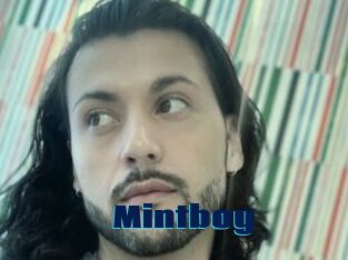 Mintboy