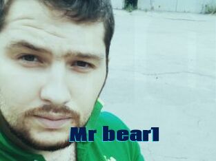 Mr_bear1