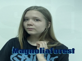 Magnoliaforest