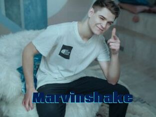 Marvinshake